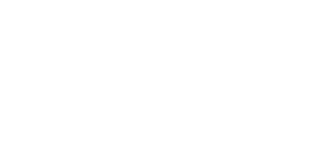 Löffler Security Systems Logo